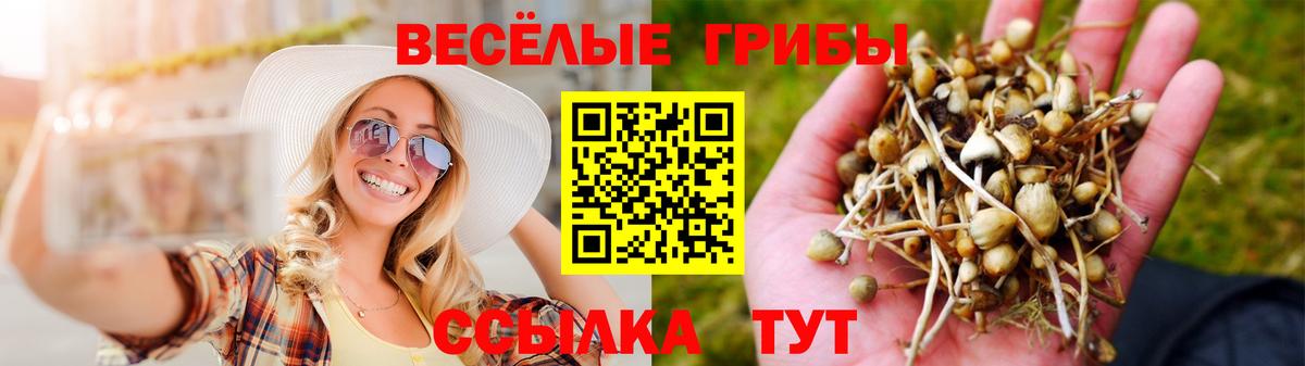 Псилоцибиновые грибы Psilocybine cubensis Урай